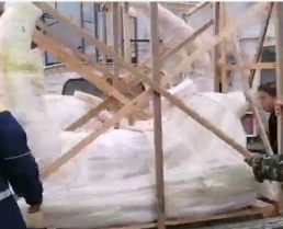 客戶購買海貝海豚貝貝打包發貨視頻